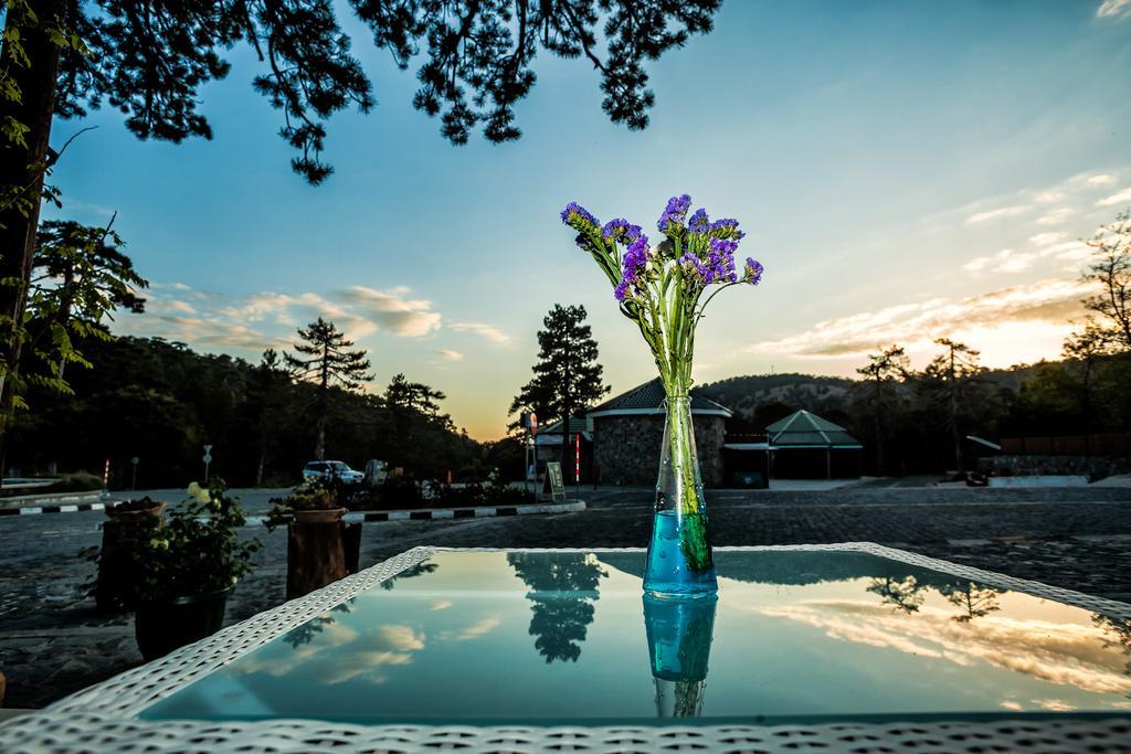 Troodos Hotel & Spa Exterior foto